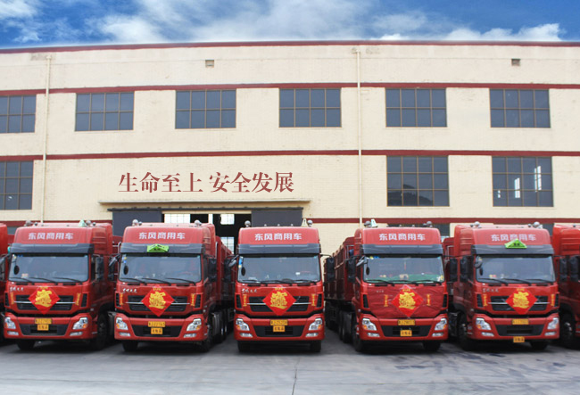 車隊展示 車隊展示